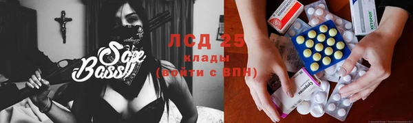 шишки Арсеньев