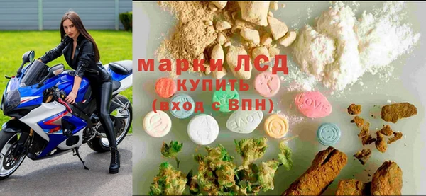 сатива Алзамай