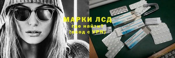 шишки Арсеньев