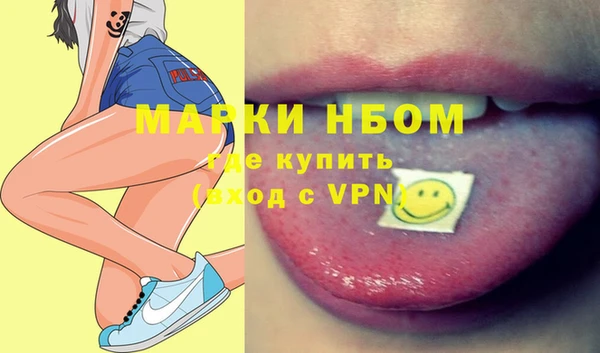 шишки Арсеньев