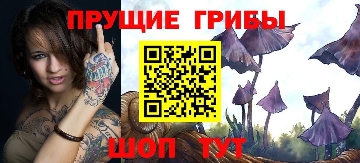 наркошоп  Псилоцибиновые грибы мухоморы  Вход с VPN  Галлюциногенные грибы Psilocybe  Междуреченск 