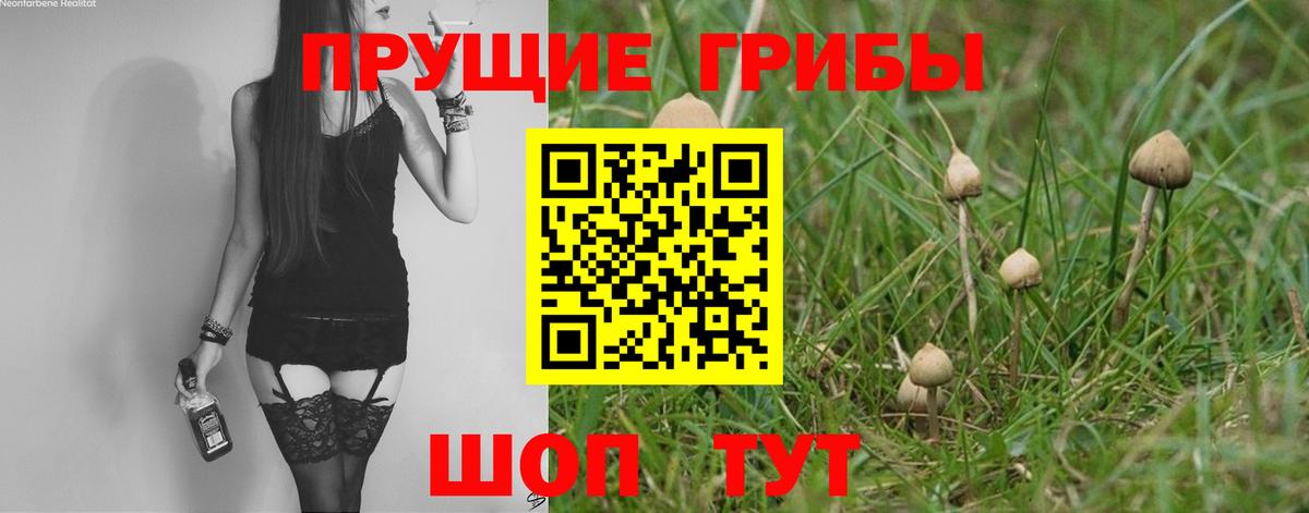 Галлюциногенные грибы ЛСД Междуреченск